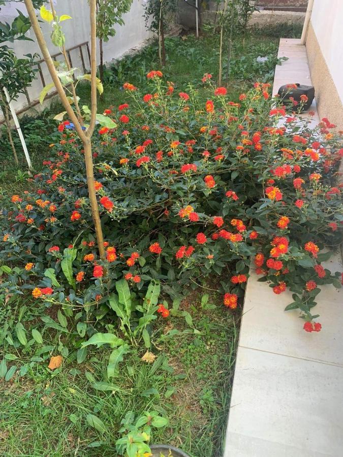 Home Sweet Home Shkoder Exterior photo